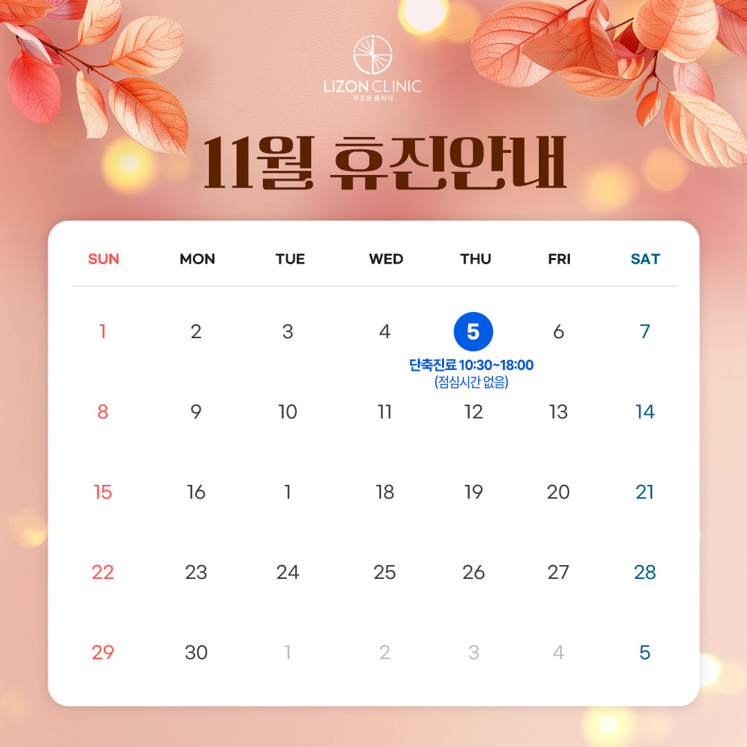 2026년 11월 진료휴진 안내